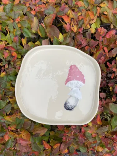 Taldrik kärbseseenega